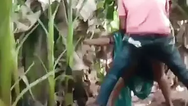Desi outdoor sex of a Kolhapuri couple on a Banana farm